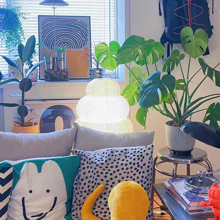 Bay Window Light and Plants

#Living Room #出窓 #観葉植物 #ソファ #スツール