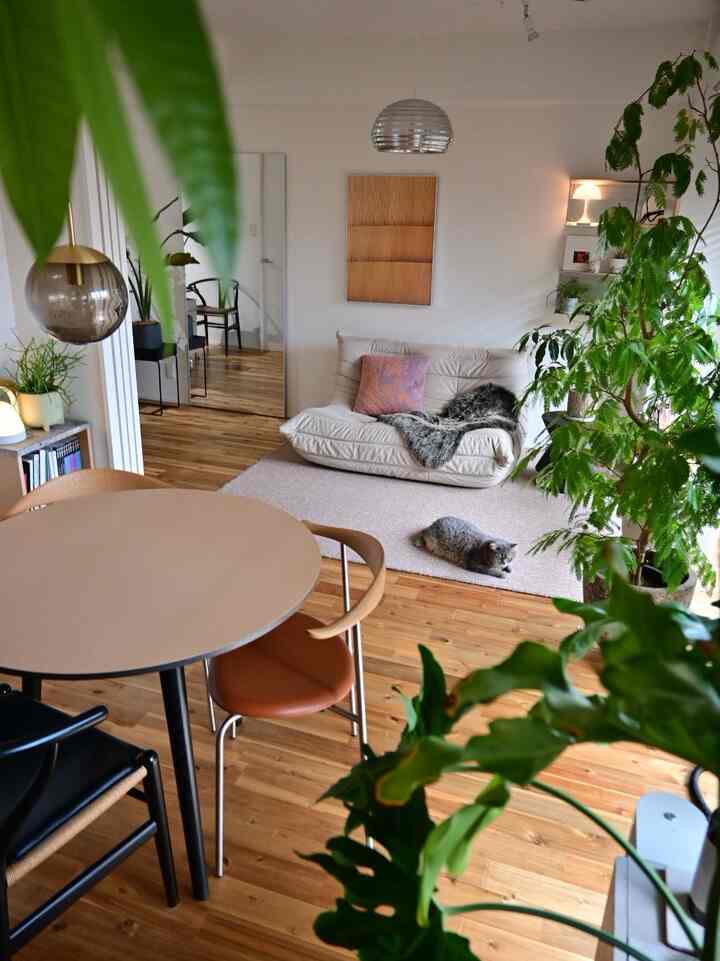Natural wood-toned living room with beige accents, featuring a white sofa and a cat resting on the rug, creating a serene atmosphere