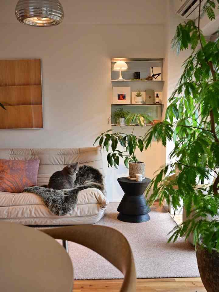 Beige-toned living room featuring a sofa with a cat sitting on it, surrounded by various plants in a simple modern space