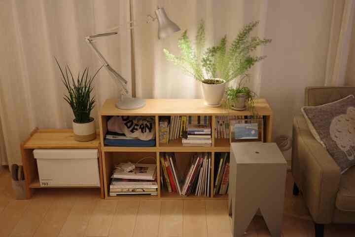 ナチュラルな色調の木製収納棚と植物が配置された居心地の良いリビングスペース