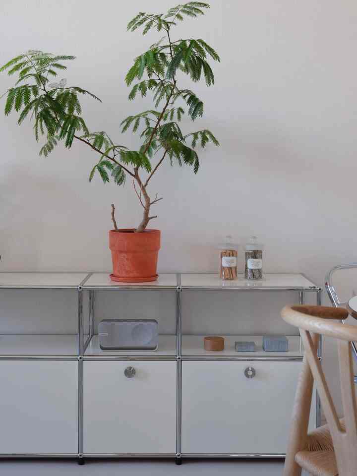 棚の上に何を置くべきか 🤔

#部屋インテリア #インテリア #usm #poshliving #インテリア好き #棚 #エバーフレッシュ