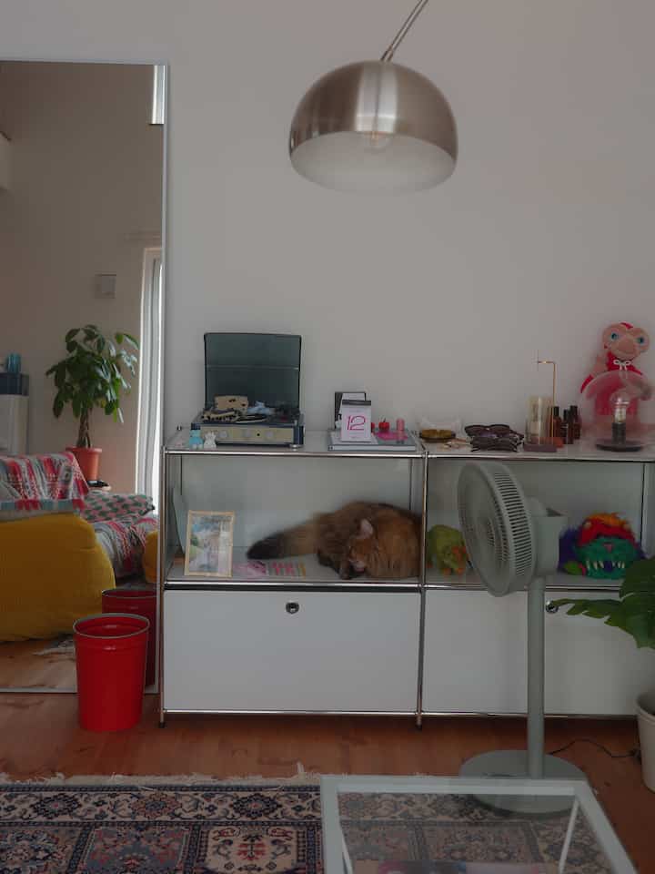 モジュール家具の左上のスペースはうちの猫の寝床になりました🐈
#モジュール家具 #小物インテリア 