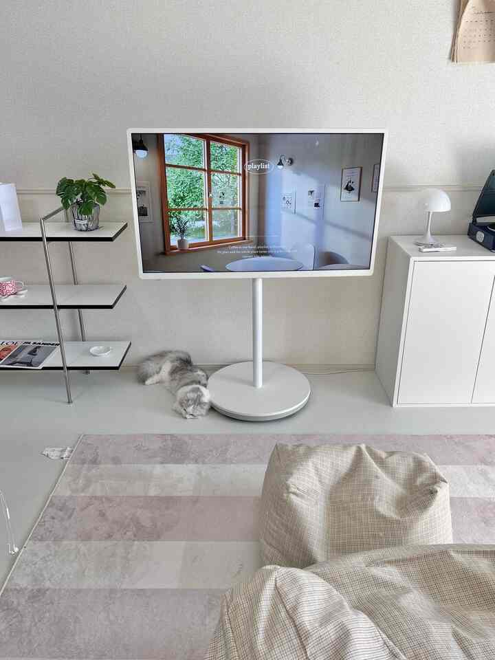 明るい色調のリビング、中央にテレビ用モニタースタンドがあり、その隣に小さな猫、前景にベージュのビーズクッションとストライプのラグが配置された印象的な空間