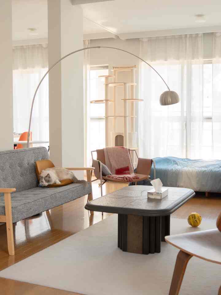 Natural color toned studio apartment featuring a cat with cat tower, sofa, and floor lamp in a warm and cozy atmosphere