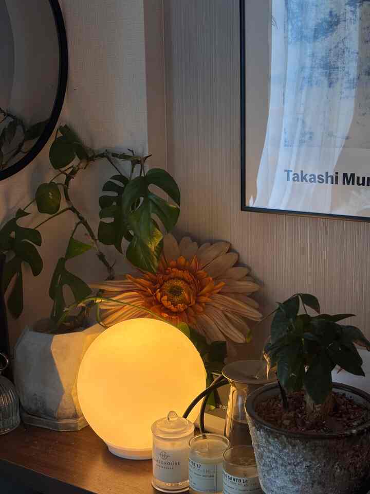 暖かい黄色の光のテーブルランプと観葉植物が配置された8畳のジャパンディスタイルの居心地良い空間