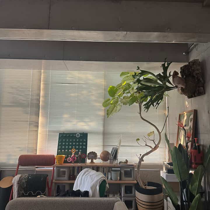 Natural toned living room featuring a red armchair and houseplants creating a cozy atmosphere