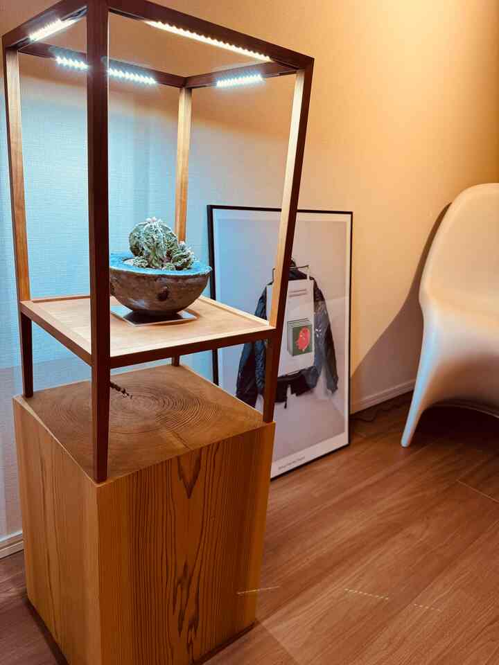 "Plaster Jacke" by Norwegian contemporary artist Matias Faldbakken.
The colors of the cactus make this space my favorite.

Art / Design
#matiasfaldbakken #hamanmiller #cibone #hay #Inception #vernerpanton #pantonchair #vitra

Interior / Lifestyle
#livingroom #tokyolifestyle #lifeintokyo #リビングインテリア #インテリア雑貨