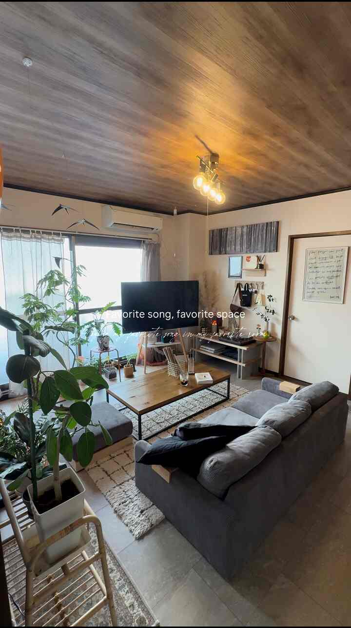 #インテリア #インテリア家具 #インテリア小物 #インテリアおすすめ #SHEIN #プチプラインテリア #賃貸 #賃貸インテリア #築古 #暮らしを楽しむ #暮らしを整える #植物 #植物がある暮らし #エバーフレッシュ #お花がある暮らし #花 #ナチュラルインテリア #ナチュラルスタイル #ナチュラル #Vlog