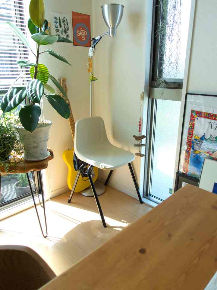 暖かい木目調と白い壁のミッドセンチュリーモダンなリビング、植物が配置された落ち着いた空間