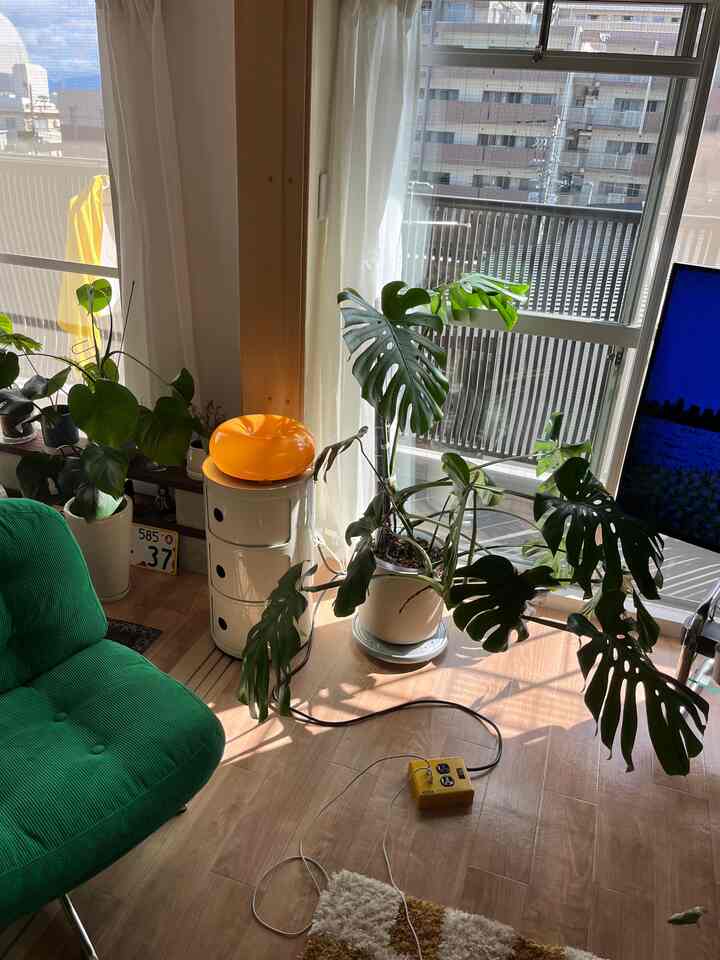 Kamar saya menghadap ke selatan.
Tanaman hiasnya berjemur di bawah sinar matahari.

#Kamar #南向き #賃貸暮らし #明るい部屋 #部屋作り