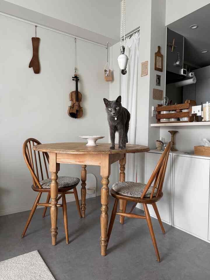 ナチュラルな木目調の1LDKダイニングルーム、ダイニングテーブルの上に猫がいる雰囲気のある空間