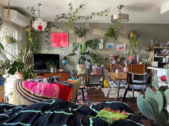 寒くなってきたけどポトスの伸びは相変わらず🌿

#ポトス　#シーリングライト　#ソファ　サボテン　#植物