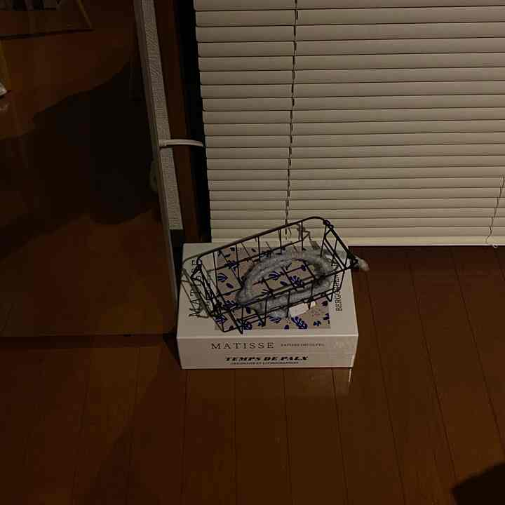 コンセントボックス、直置きでもかわいい…？
#一人暮らし #一人暮らし部屋 #一人暮らしアイテム #コンセント #収納 #ブラインド 