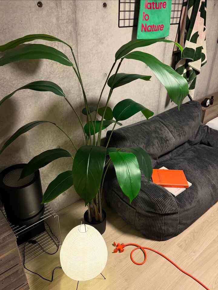 Strelitzia palsu setinggi 160 cm. Terlihat sangat realistis. ◎
#Strelitzia #フェイクグリーン #コンクリート打ちっぱなし