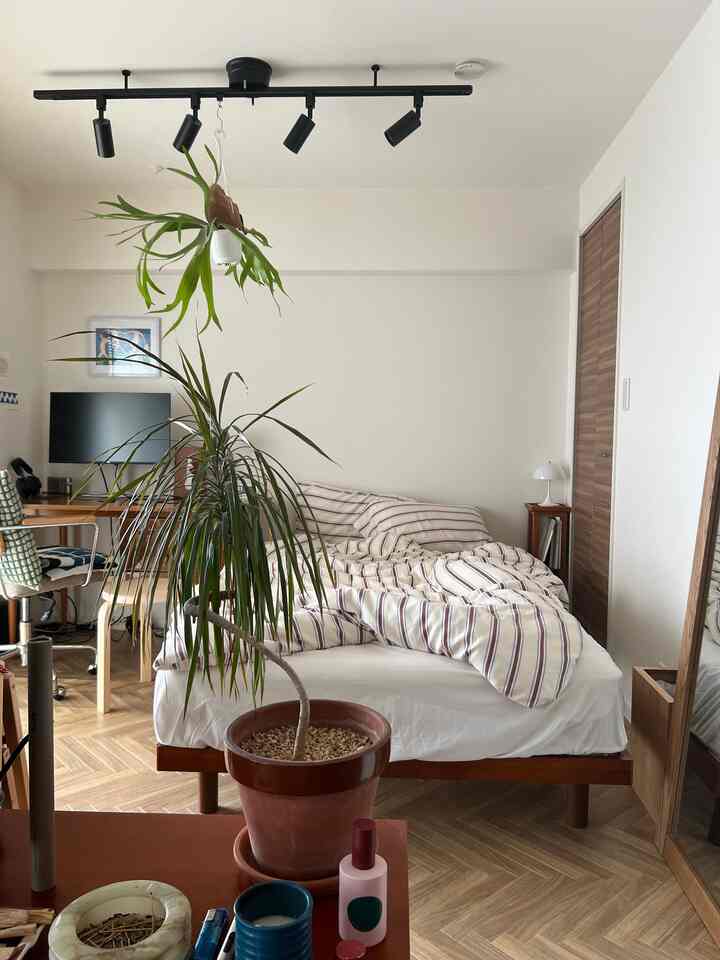 White-walled, wood-toned bedroom with natural vibe featuring single bed, desk, and plants creating a cozy atmosphere
