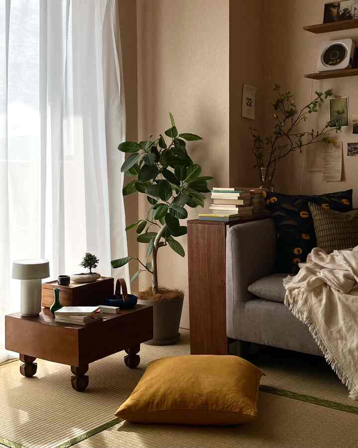 念願の盆栽をお迎えしました🪴

大切に丁寧に育てていきます◎

#盆栽
#盆栽のある暮らし
#和室
#Japaneseapartment