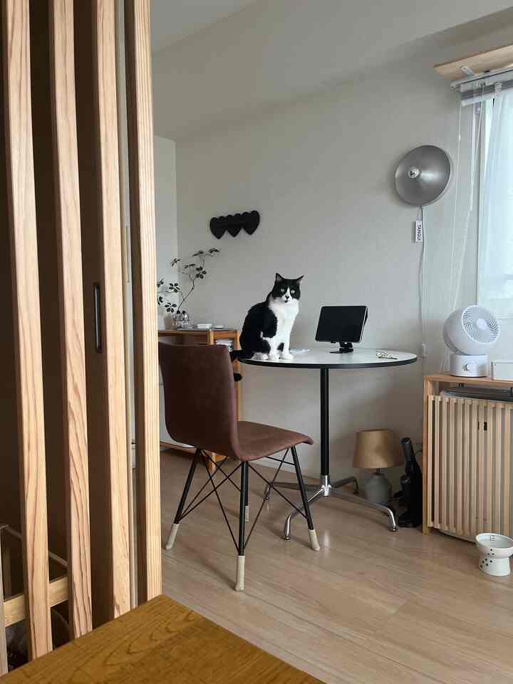 sakuq._homeさんのインテリア実例写真