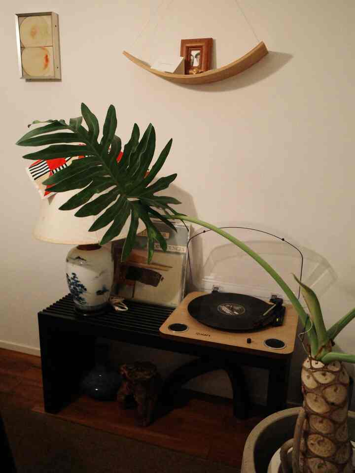 Saya menggunakan bangku yang saya beli di Amazon untuk membuat pojok piringan hitam mini 🗽

#PembelianAmazon
#PembelianMercari
#BarangAntik
#PerabotanVintage