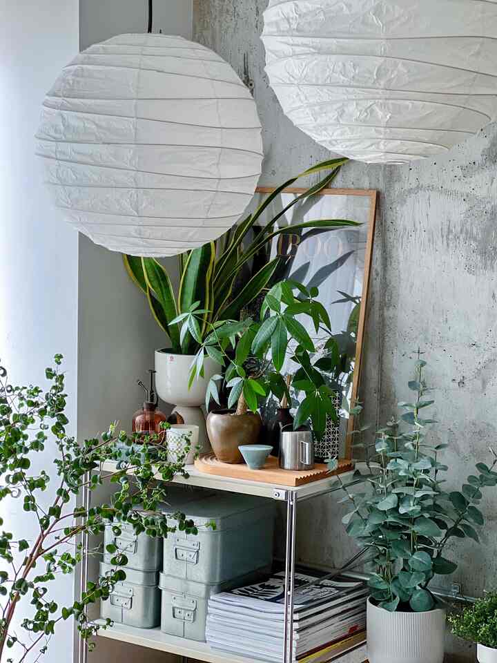Natural-toned small living room corner with white pendant lights and metal shelf featuring various green plants