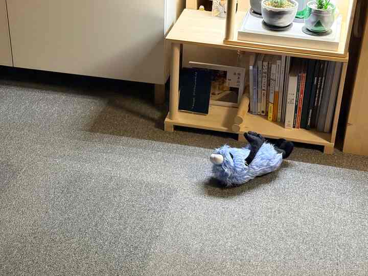 グレーのカーペット床とナチュラルウッドの本棚が配置されたリビング、床には青いペット用おもちゃが置かれている印象的な空間