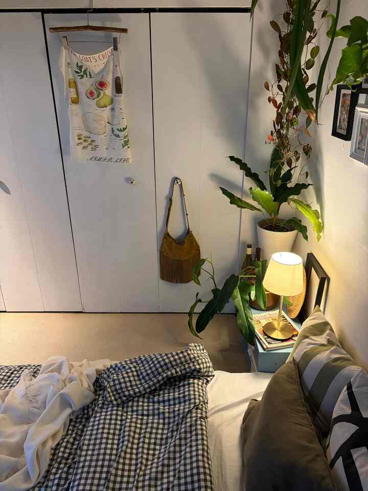 お久しぶりです🏡👋


#観葉植物 
#狭い部屋のインテリア 