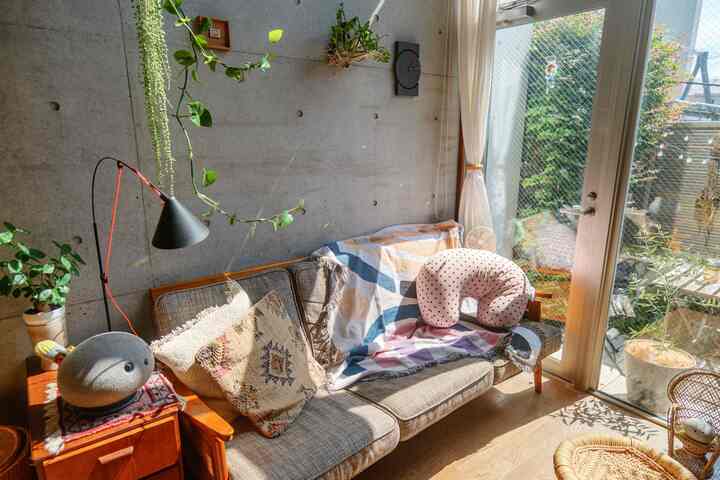 陽の当たるソファ🛋️
気持ちいいけど眩しい
でも気持ちいい🙌

#ソファインテリア  #2人掛けソファ  #コンクリート打ちっぱなし　#グリーンインテリア  #植物インテリア 

