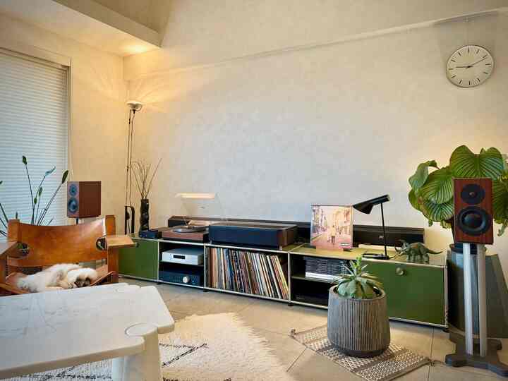 Warm yellow-toned living room featuring a USM Haller TV board, leather armchair, and a cat resting peacefully