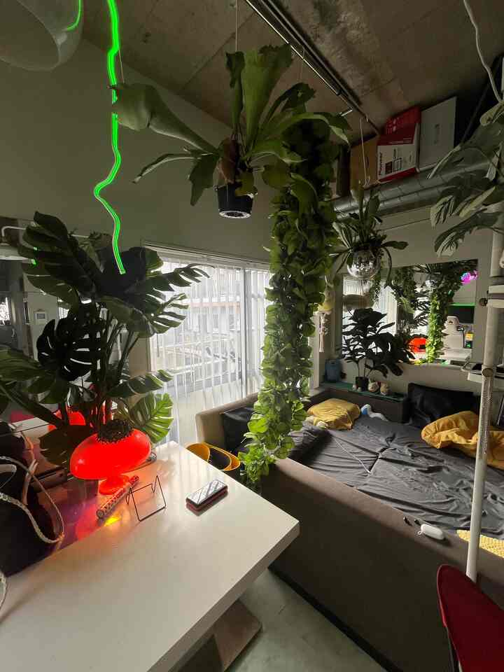 落ち着いた色調と緑豊かな植物が印象的なワンルーム、レトロなオレンジのテーブルランプとソファベッドが配置された雰囲気のあるインテリア