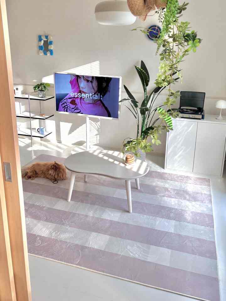 White and lavender toned living room featuring a striped rug, coffee table, plant, and a cat with a serene atmosphere