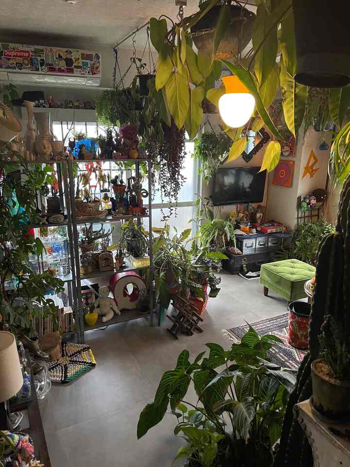 ヴィンテージ品多めな飾り棚。雑貨の存在感に負けないグリーンを厳選して配置して、程よいバランス感を保っています。
ベースには、IKEAのヒュッリスを採用。無個性的で、無骨にもナチュラルにも馴染む佇まいとコスパから採用しました◎

古いビスクドールや、看板で使われていたアルファベットオブジェ、花台にした昭和レトロなスツールなど、心奪われたものたちを集めれば、自然とまとまったくれる！という説を実証しています。
#ヴィンテージ #昭和レトロ #ミッドセンチュリー #多国籍インテリア #観葉植物 #IKEA棚 #IKEA #ヒュッリス #グリーンインテリア #リビングインテリア #飾り棚  