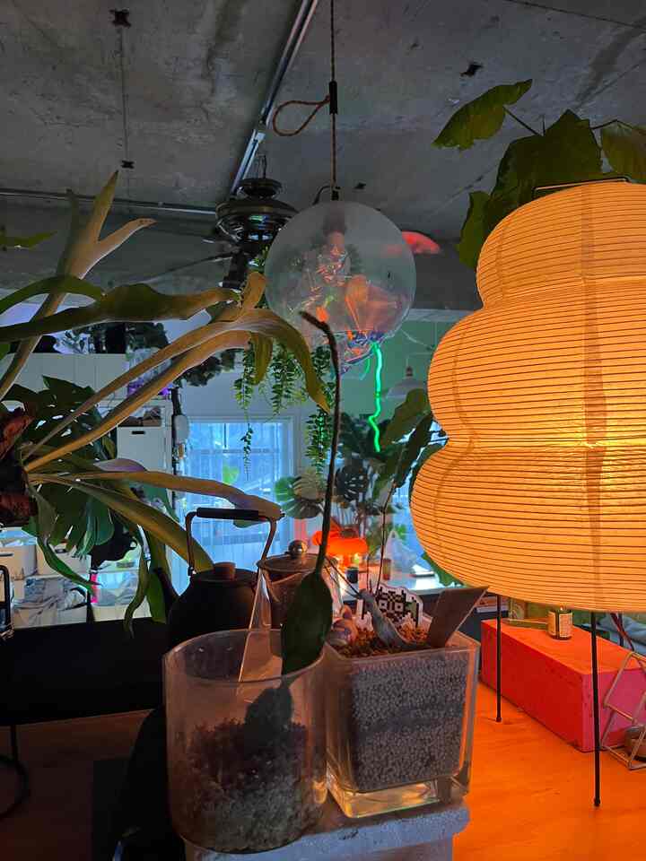 温かみのあるナチュラルカラーのワンルーム、植物やペンダントライト、和紙のフロアランプが配置された雰囲気あるインテリア