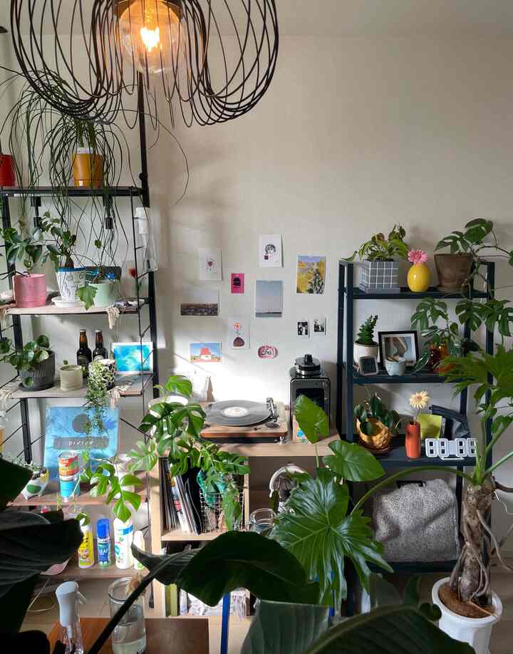 ナチュラルな色調の一人暮らしの部屋、豊富な植物とレコードプレーヤーが配置された雰囲気のある空間