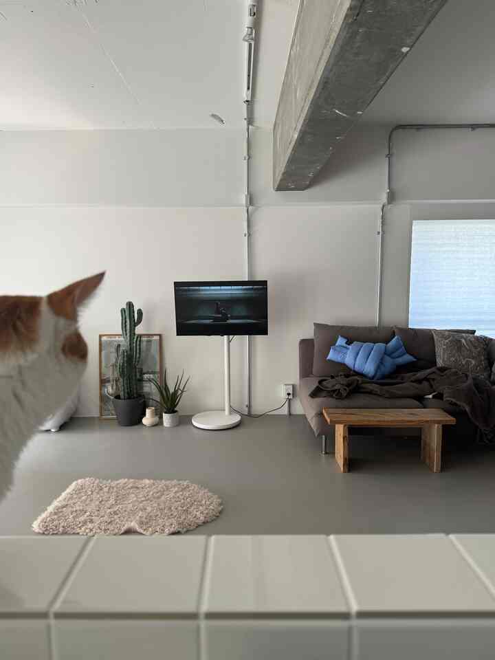 Calm gray and natural tones living room featuring sofa and TV stand with a clean, cozy atmosphere