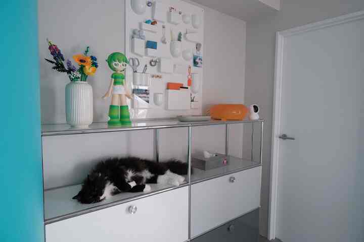 白とグレーのトーンのリビング、メタルの収納家具を中心に黒い猫が上で寝ているシンプルモダンなインテリア