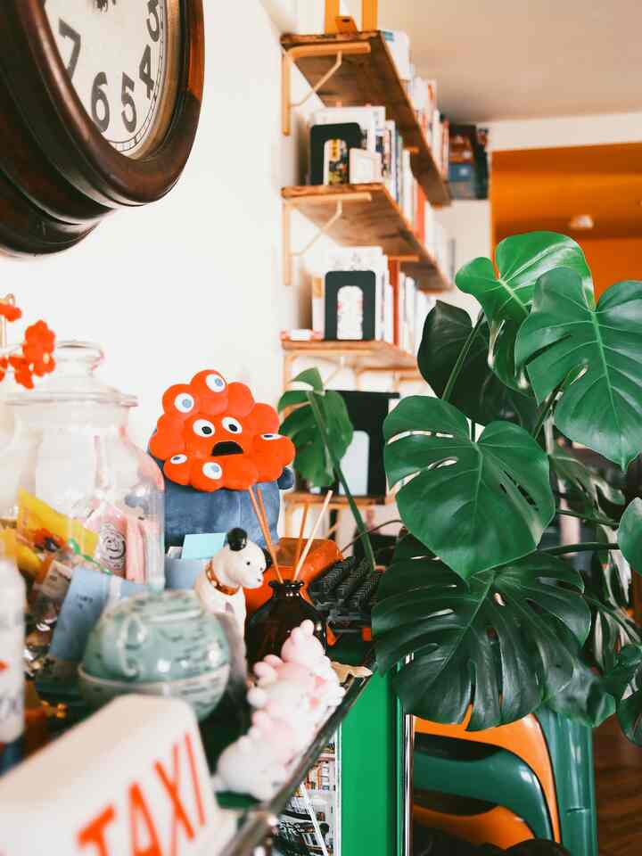 観葉植物ニョキニョキ🪴
モンステラでかくなったの…

#観葉植物
#Monstera
#モンステラ
#colorful
#中古マンション 
#관엽식물
