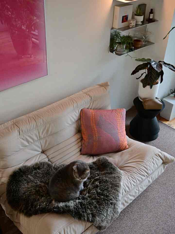 Beige-toned living room featuring a sofa with a cat on a fur rug and plants arranged, showcasing a natural and simple interior