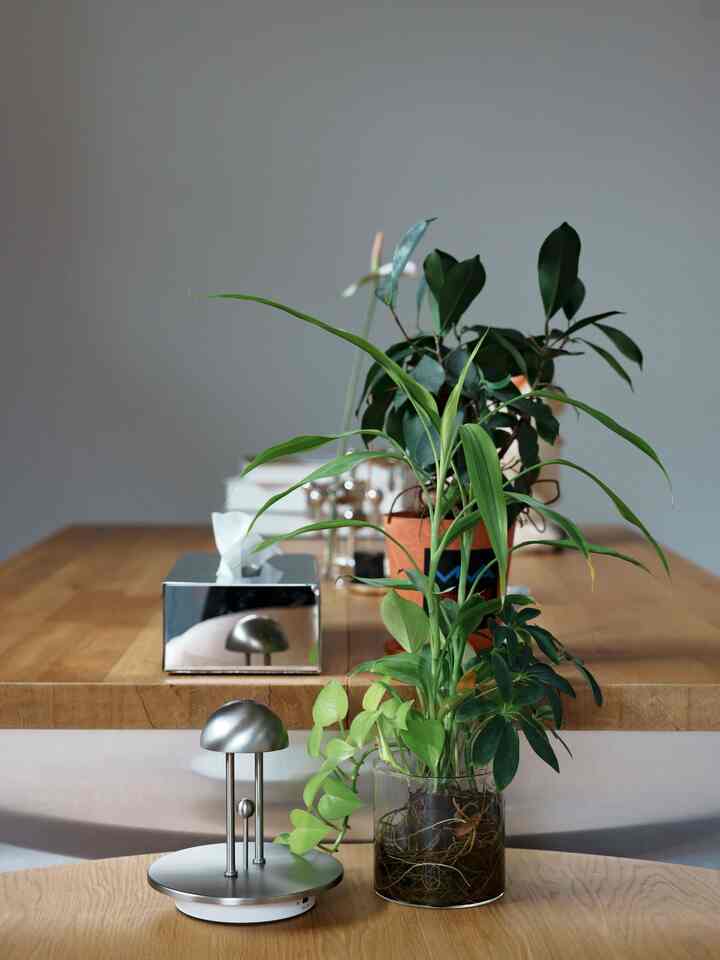 家族で唯一インフルかかってない私。
順々にみんな発症しているので次は私かなあ🥹

#interiordesign #ikea #midcentury #postmodern #dining #vitra #isamunoguchi