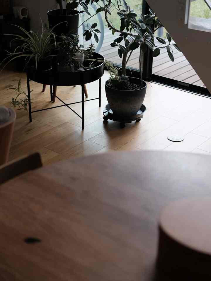 工房の収納を探しに久しぶりに行ったIKEAでたまたま見つけた植物ラック、ディスコンになったみたい。。もうひとつ買えばよかった。
#IKEA #無印良品の家 #mujihouse