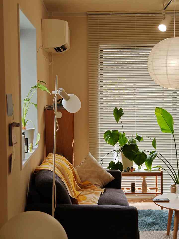 ベージュ色の壁と木目調家具が配置された1LDKのリビング、グレーのソファと植物がある自然な雰囲気のインテリア