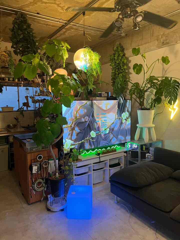 白い壁と天井のワンルームリビング、ダークなソファと多くの緑の植物が配置された自然で落ち着いた雰囲気のインテリア