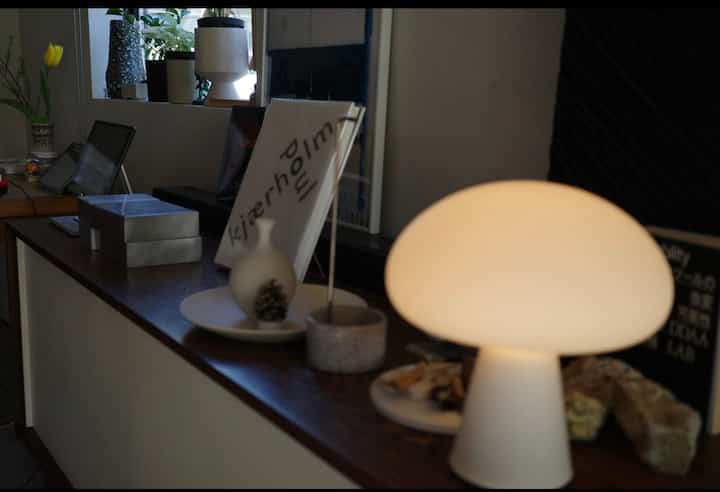 #マーティンフィッサー