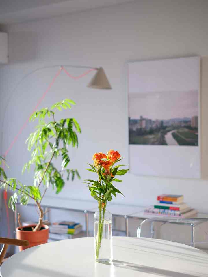 急に秋 🍂

めっちゃ秋っぽいお花が売られていたので
買ってリビングに飾りました 🧡

午後の光に照らされて美しい…🥹

——————————————————

📍 この部屋の家具たち

◯ 丸テーブル #ddepartment
◯ 白い椅子 #fritzhansen #antchair
◯ 木の椅子 #yチェア #ch24 
◯ 透明の椅子 #pliachair #giancarlopiretti
◯ 照明 #aynolamp #stefandiez
◯ 照明 #flos #mayday #メイデイ
◯ 棚 #usm
◯ 額縁 #kanademono
◯ コートラック #hayknit

👉 保存して、部屋づくりの参考にしてください ✨

——————————————————

#部屋好き #インテリア好き #エバーフレッシュ #賃貸 #ケイトウ #オレンジクイーン #ケイトウオレンジクイーン