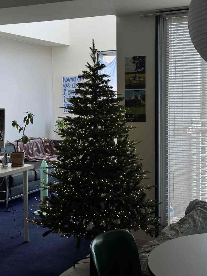 Studio apartment with white walls and navy carpet, featuring a centrally placed Christmas tree with string lights creating a cozy atmosphere