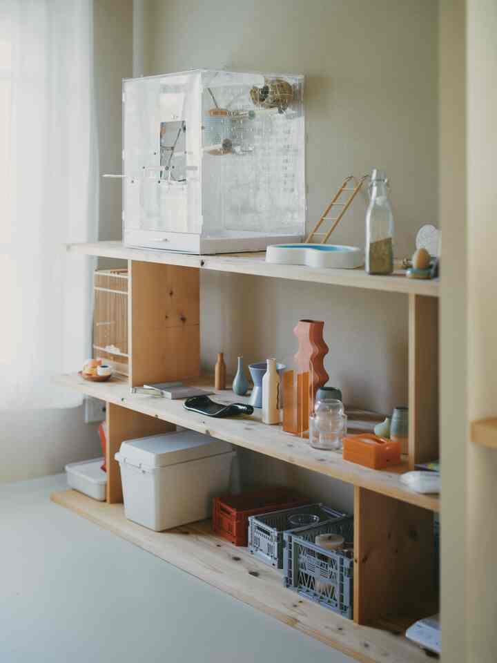 キンカチョウ2羽の豪邸🪶
#HAY #花瓶 #鳥 #ペット 