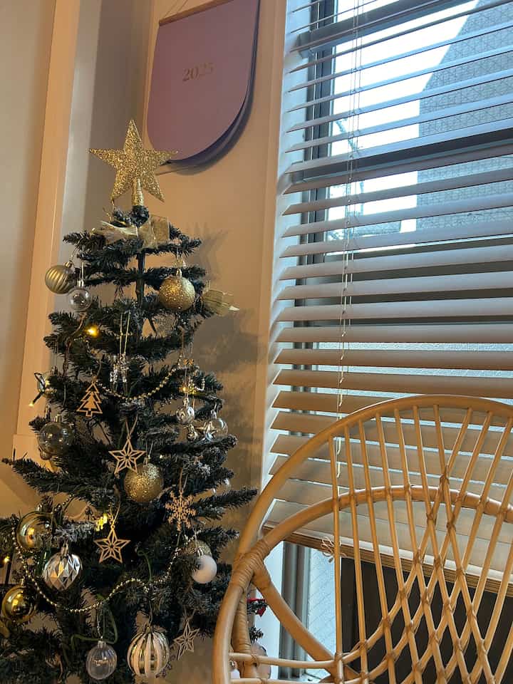 子供部屋にクリスマスツリー🎄

#クリスマスツリー
#2DK 
#子供部屋家具 
#キッズルームインテリア 
