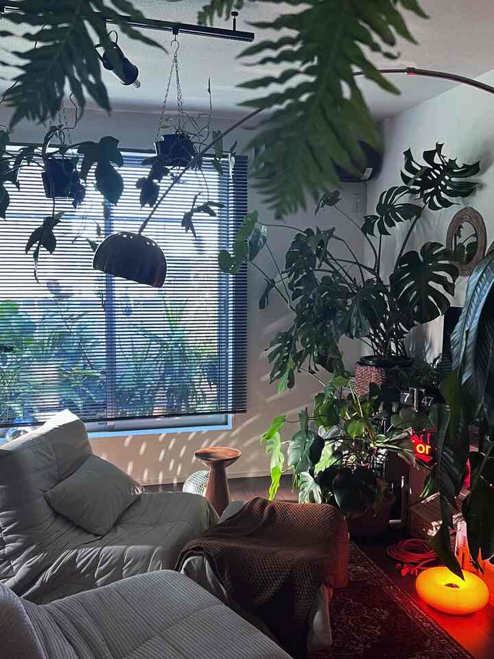 Morning living room ☀️
On sunny days, the mirror ball works great 🪩

#MirrorBall #ミッドセンチュリーモダン
#Midcentury #ナチュラルインテリア
#BohoInterior #リビング植物
#AccentColor #きれいなインテリア #植物インテリア
#LifeWithPlants #落ち着いた色