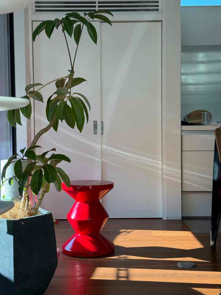 秋冬は日差しが朝しっかり入って嬉しい。眩し過ぎるくらい😽

#interiordesign #midcenturtmodern #インテリア好き