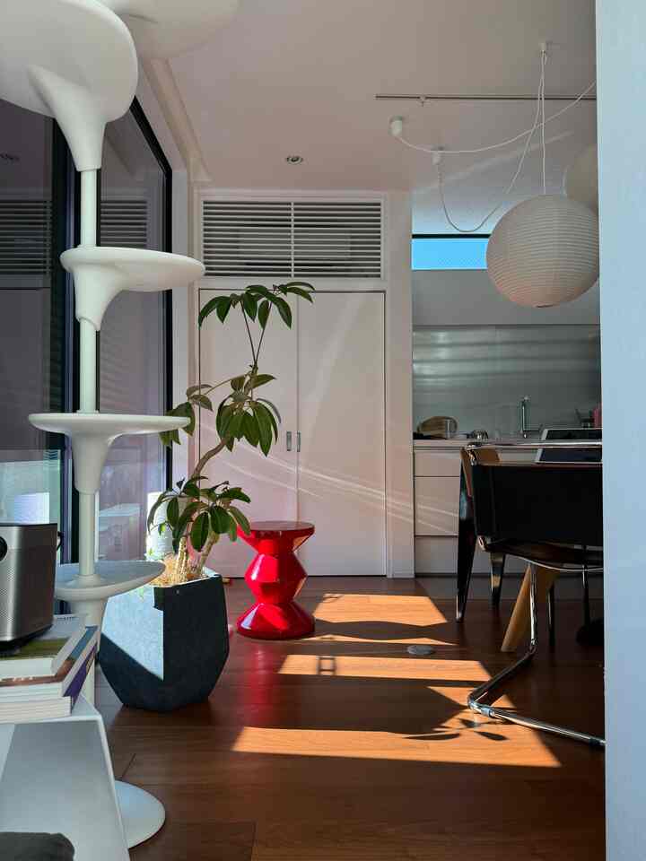 白と茶色を基調としたリビングダイニング、キャットタワーと植物が配置されたモダンなインテリア