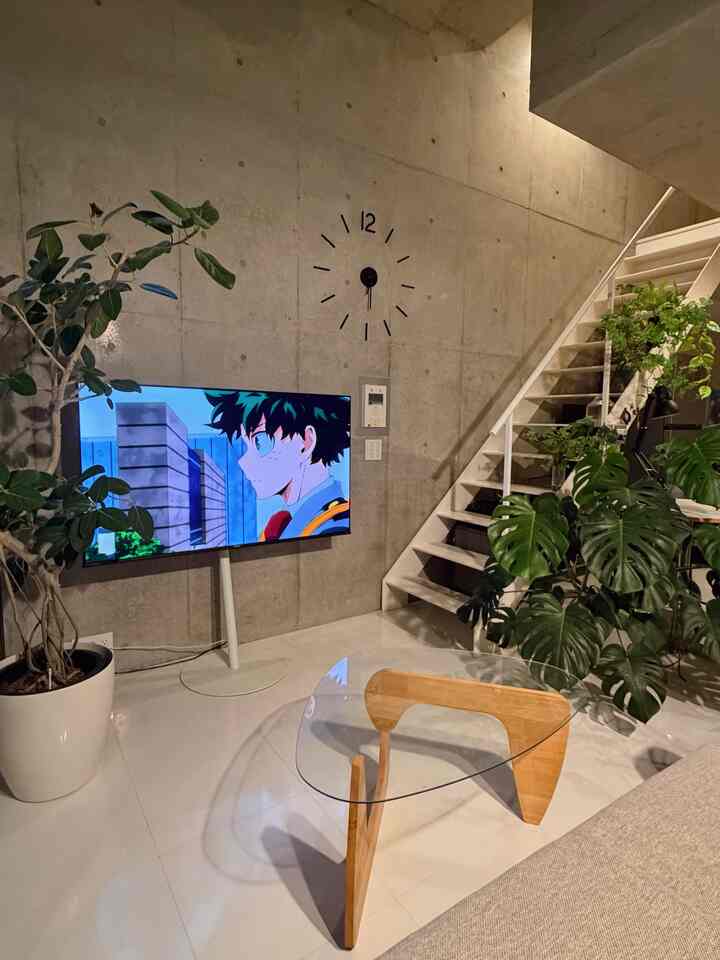 ヒロアカあと少しで終わってしまう🥲
#壁掛けテレビ 