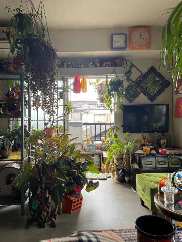 窓の奥にもグリーンを置きつつ、ストックしてある植木鉢も景色の一部になるように工夫しています◎
#ミッドセンチュリー #ビンテージ #昭和レトロ
#多国籍インテリア #リビングインテリア #観葉植物
#グリーンインテリア